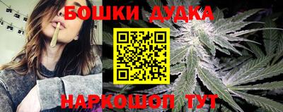 сатива Коммунар