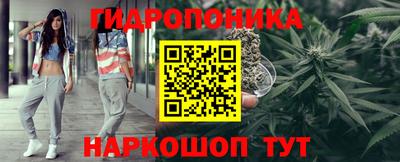 сатива Коммунар